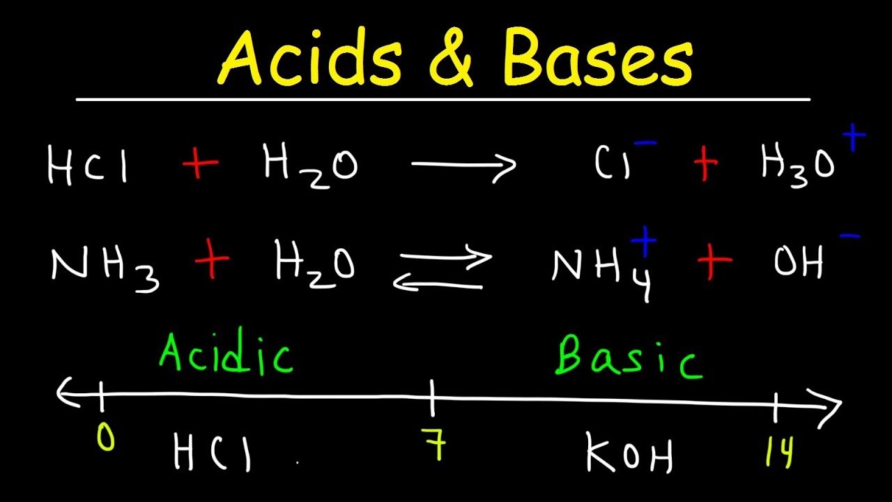 Acids And Bases Chemistry D To Do Blog